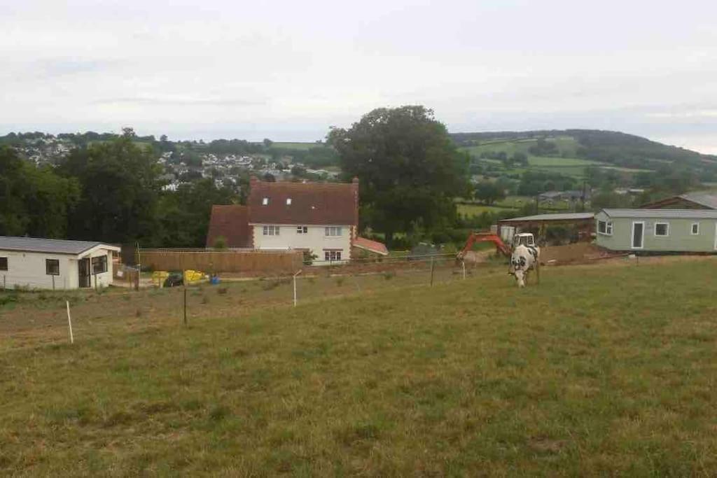 Park Gate, Colyton, Farm,Near Beaches-'Annie' Buitenkant foto